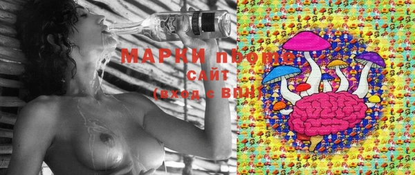 apvp Алзамай