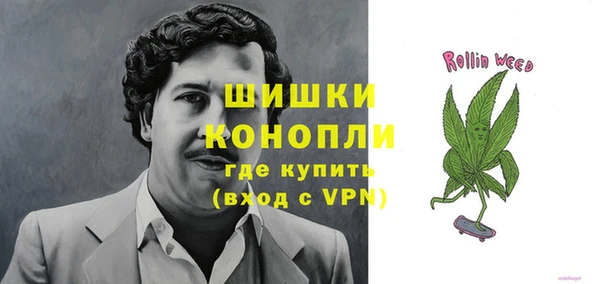 apvp Алзамай