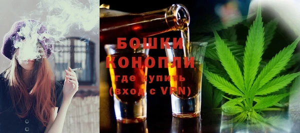 стаф Россошь
