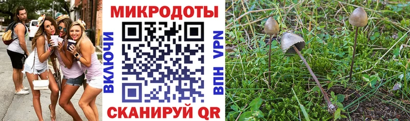 Псилоцибиновые грибы MAGIC MUSHROOMS Тула