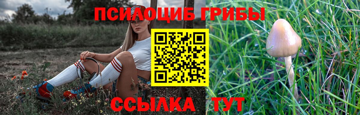 Галлюциногенные грибы мицелий  Галлюциногенные грибы Magic Shrooms  Тула  Вход с VPN 