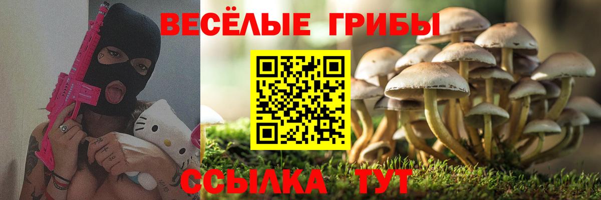 Галлюциногенные грибы ЛСД Тула